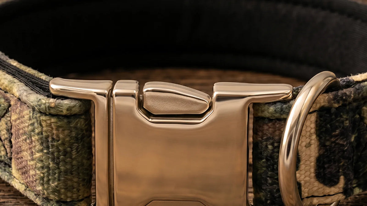 Dog collar material comparison: Safety, Fit, and Style Checklist hero image for True American Pets