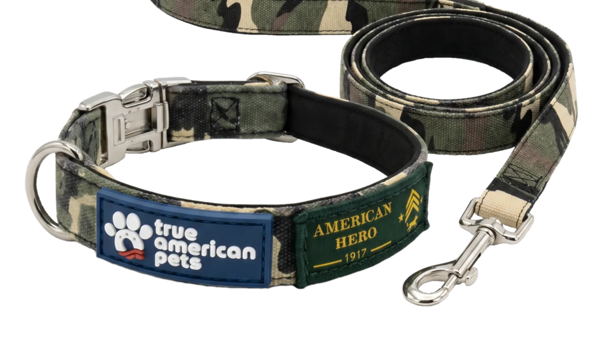 How tight should a dog collar be: Best Options by Use Case hero image for True American Pets