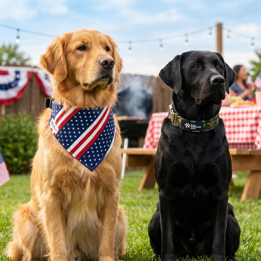 Sgt. Stubby Patriotic Dog Bandana Collar — photo 8