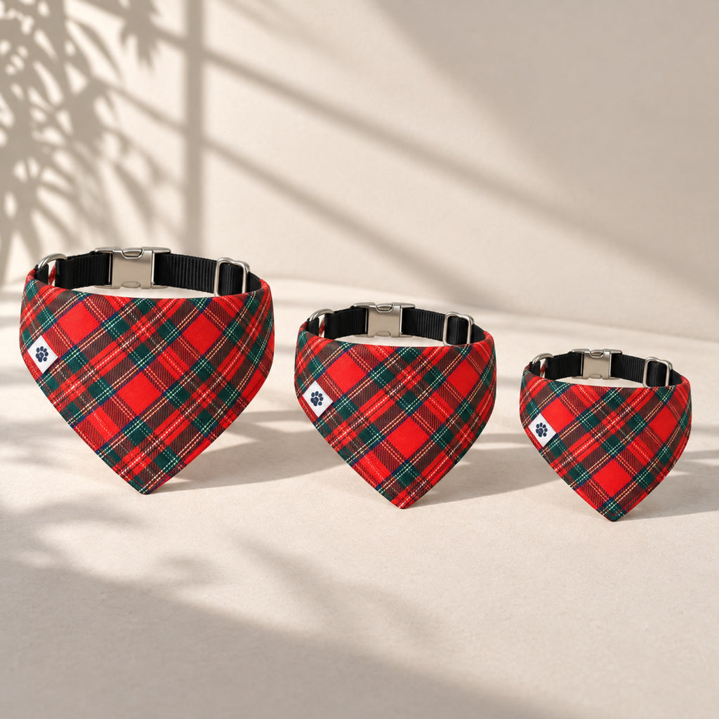 The Homestead bandana collar - Sizes small medium large