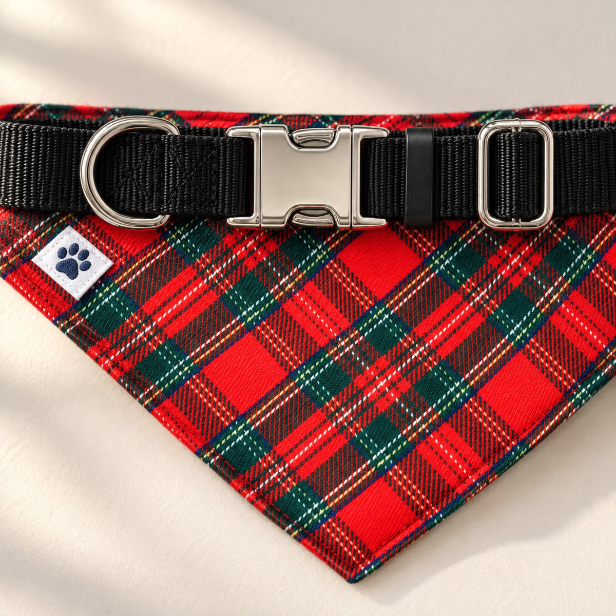 The Homestead bandana collar - Buckle D-ring and slider close-up