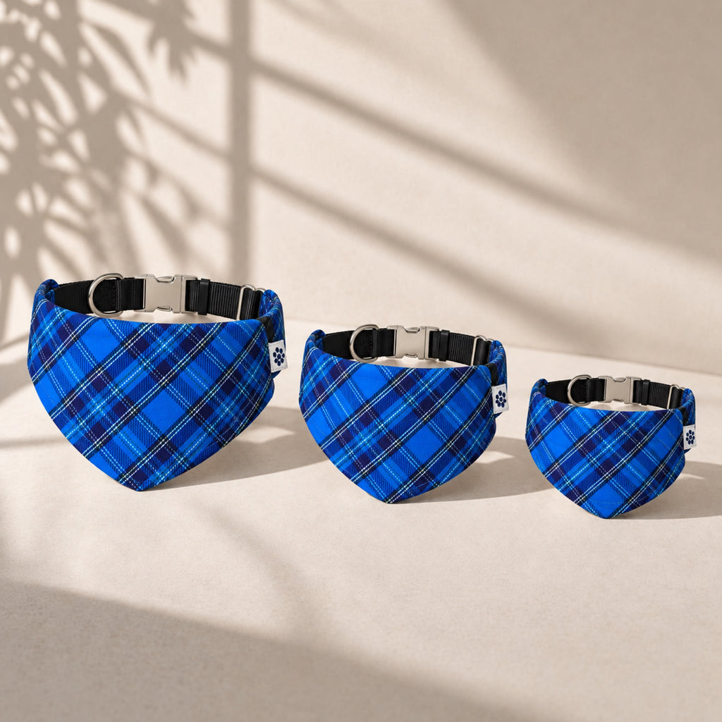 Liberty Plaid bandana collar - Sizes small medium large