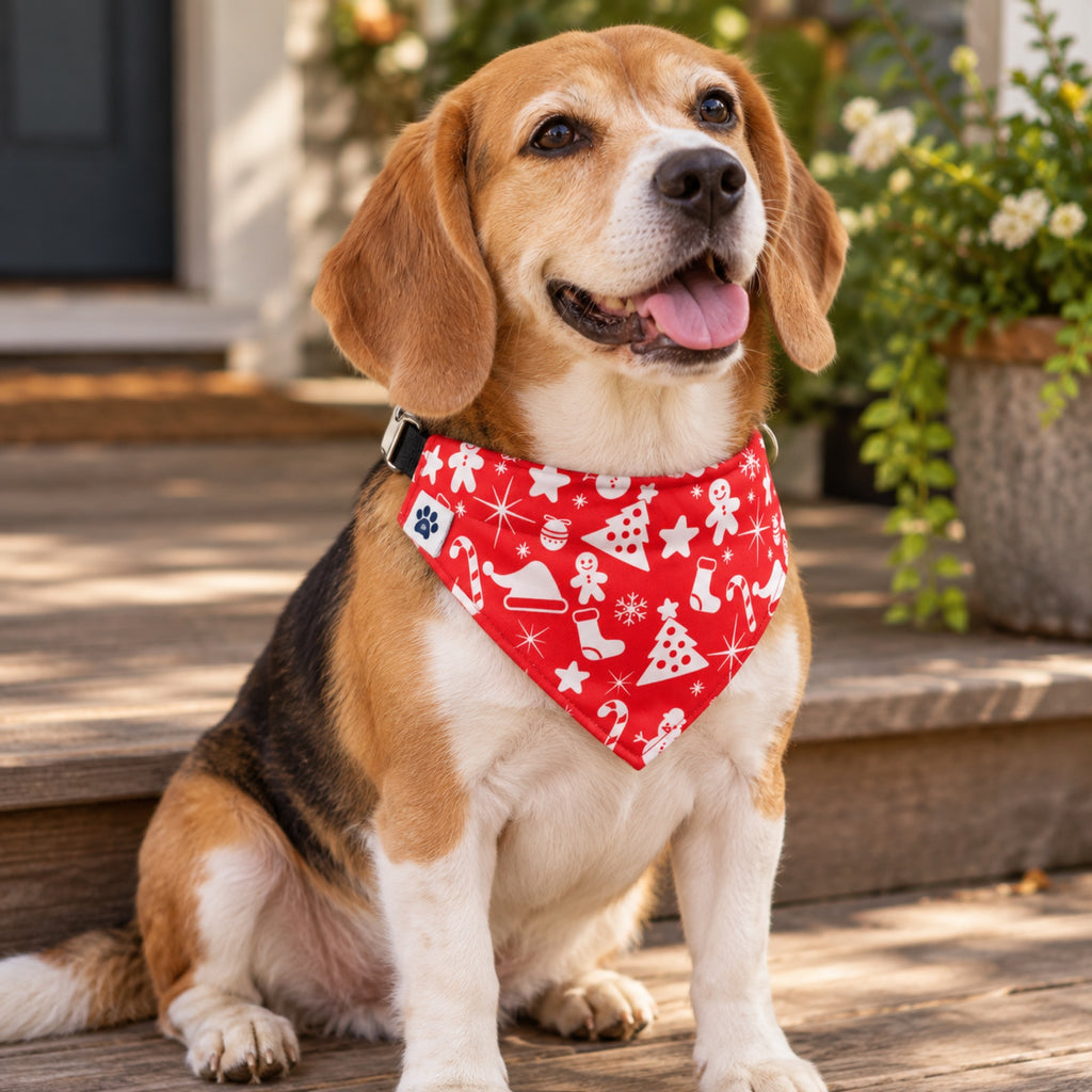 Yuletide bandana collar - Small dog on porch steps