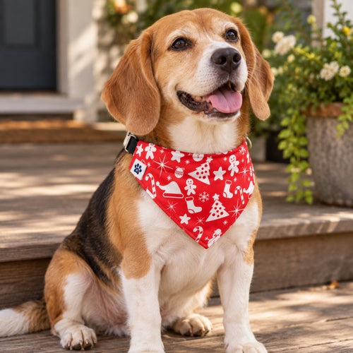 Yuletide bandana collar - Small dog on porch steps