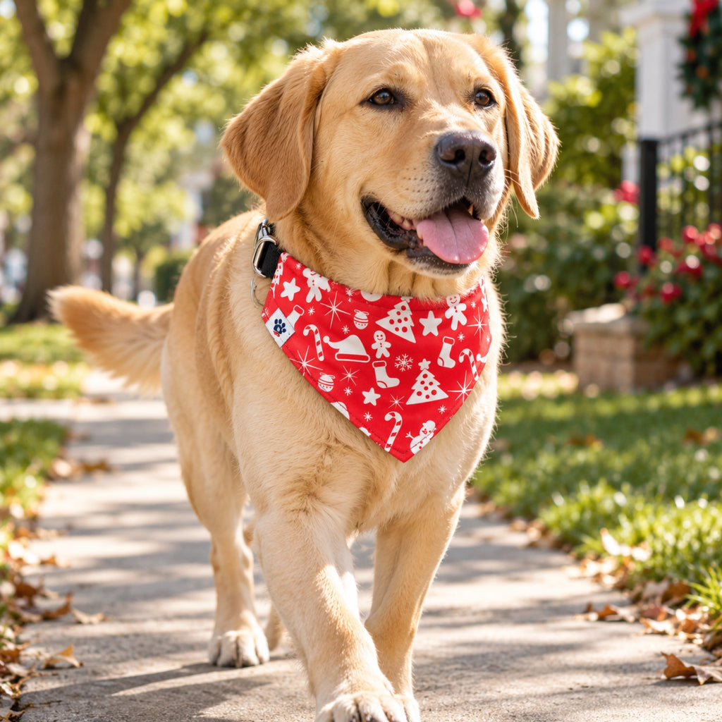 Yuletide bandana collar - Large dog on sidewalk